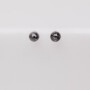 Skylar anthracite zilvere stud oorbellen