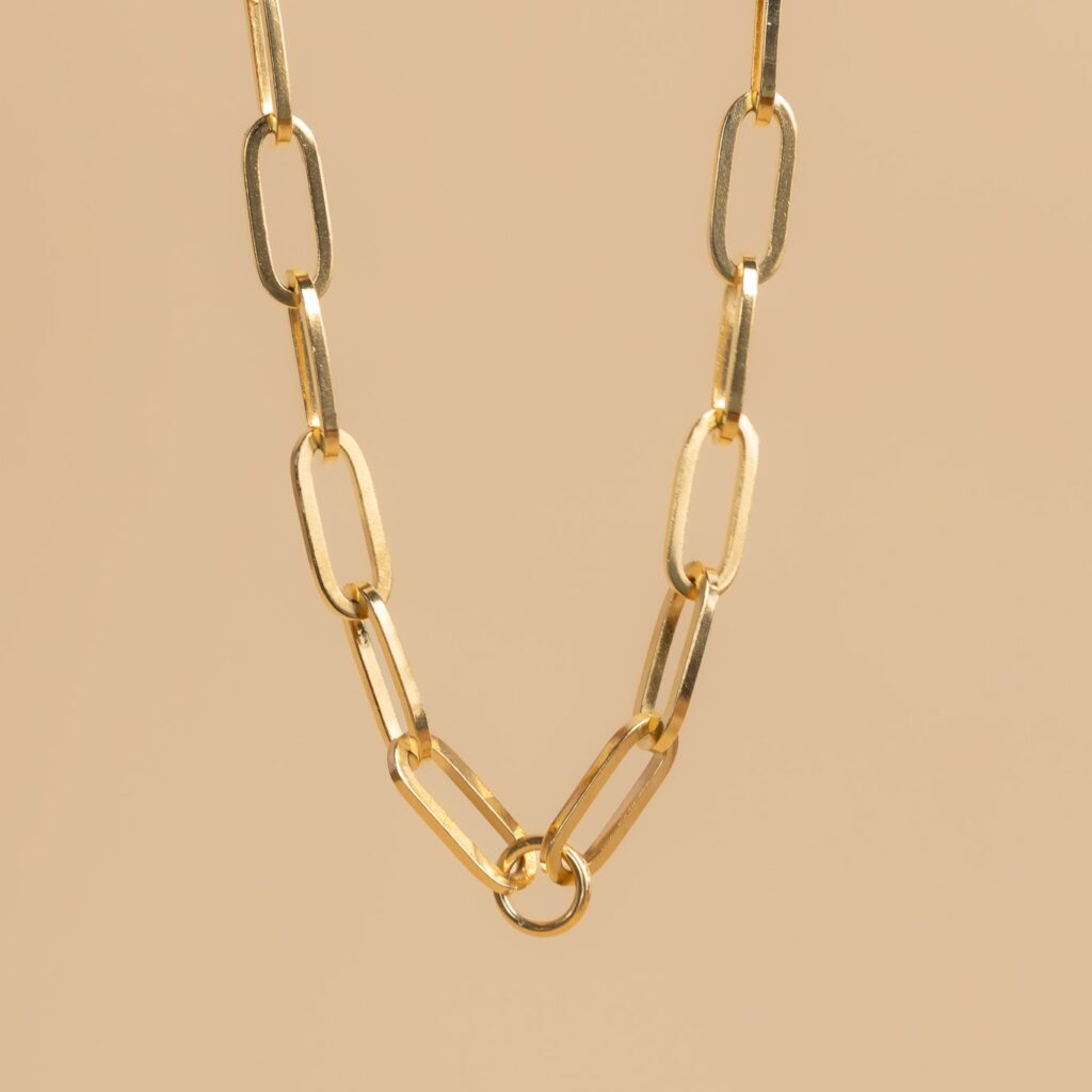 Link small gold necklace (charm collection)