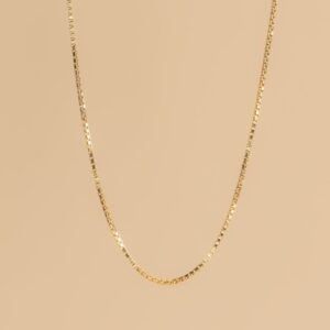Alba gold fine necklace (charm collection)