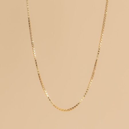 Alba gold fine necklace (charm collection)